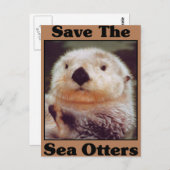 Sparen de Otters van het Zee Briefkaart (Voorkant / Achterkant)