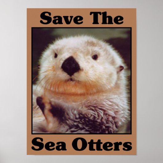 Sparen de Otters van het Zee Poster (Voorkant)