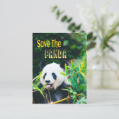 Sparen de Panda Briefkaart (Staand voorkant)