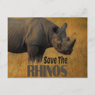 Sparen de Rhinos Briefkaart