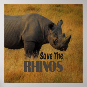 Sparen de Rhinos Poster