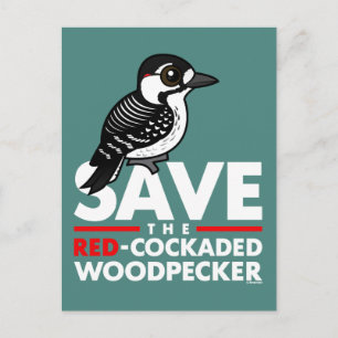 Sparen de Rode-cockpit Woodpecker Briefkaart