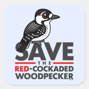 Sparen de Rode-cockpit Woodpecker Vierkante Sticker