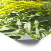 Sparen de staaf bederft de vlinder poster (Hoek)