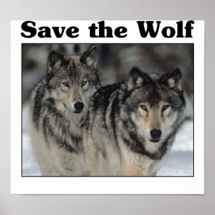 Sparen de Wolf Poster