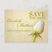 Sparen het Briefkaart van de Datum Enige Witte Roo (Voorkant)