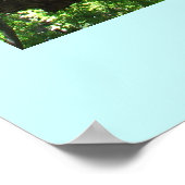 Sparen het Poster van Bomen (Hoek)