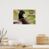 Sparen het Poster van Ducks (Keuken)