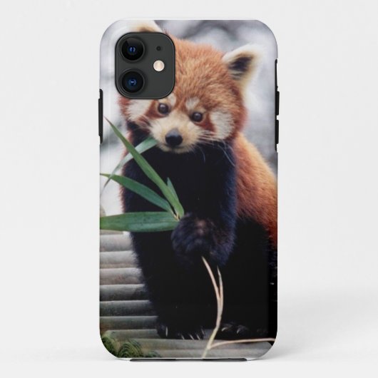 Sparen het Rood Panda iPhone 5/5S Hoesje (Achterkant)