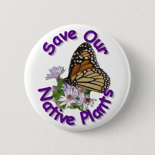 Sparen inheemse Asters Monarch Button (Voorkant)