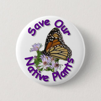 Sparen inheemse Asters Monarch Button