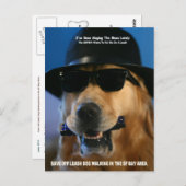 Sparen Off-Leash Dog Walking Senator Feinstein Briefkaart (Voorkant / Achterkant)