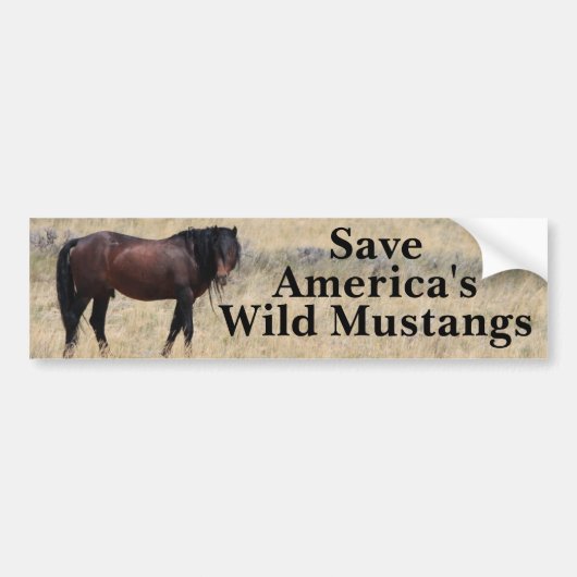 Sparen Onze Mustangs Bumpersticker (Voorkant)