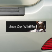 Sparen onze tijger van het Wildleven Bumpersticker (Op auto)