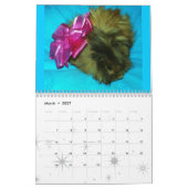 Sparkle Kalender (Mar 2027)