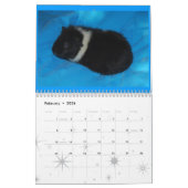 Sparkle Kalender (Feb 2026)