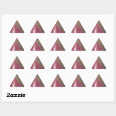 Sparkle & Shine Driehoek Sticker (Vel)