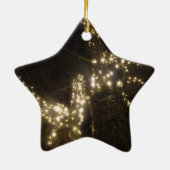 Sparkling Outdoor Tree Lights Star Ornament (Achterkant)