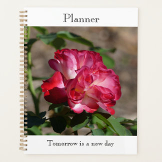 Sparkling Roze Planner