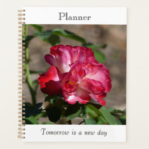 Sparkling Rozen Planner
