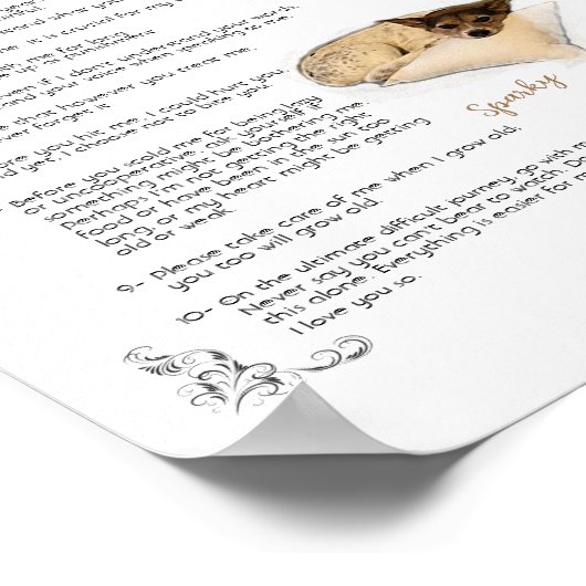 SPARKY a - Poster (Coin)