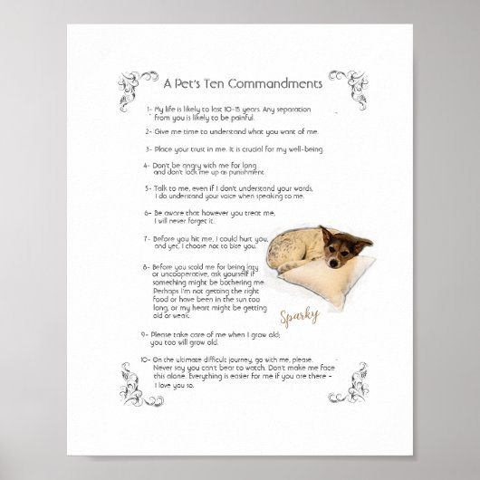 SPARKY A - POSTER (Voorkant)