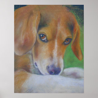 Sparky Dog: Oyes Poster