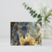 Sparky the Squirrel Briefkaart (Staand voorkant)