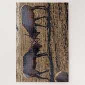 Sparring Bull Elk Legpuzzel (Verticaal)