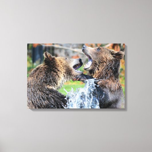 Sparring Grizzly Beren Canvas Afdruk (Voorkant)