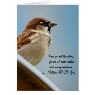 Sparrow