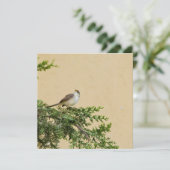 Sparrow Advieskaart (Staand voorkant)