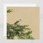 Sparrow Advieskaart (Voorkant / Achterkant)