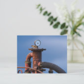 Sparrow assis sur le dessus d'une carte postale de (Debout devant)