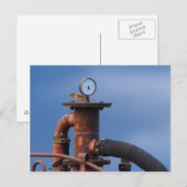 Sparrow assis sur le dessus d'une carte postale de (Devant / Derrière)
