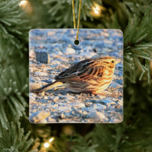 Sparrow Bird Keramisch Ornament