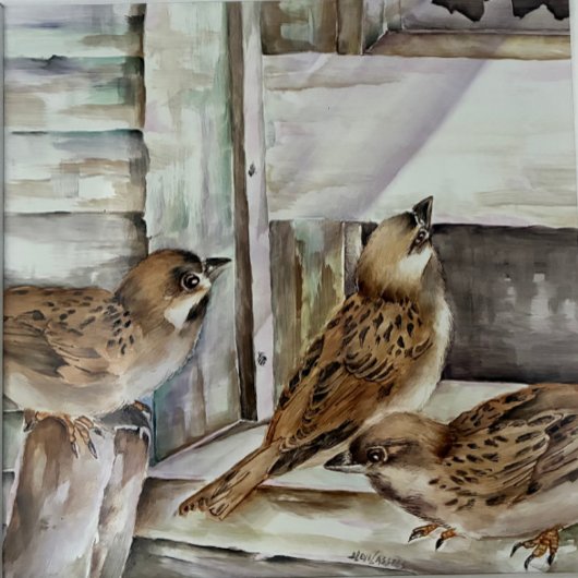 Sparrow Bird Notebook | Nature Journal Gift | NZ