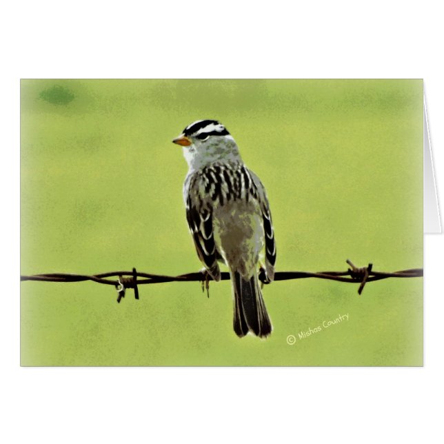 Sparrow "Bird on a Wire" (Voorkant Horizontaal)