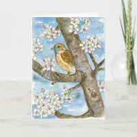 Sparrow Bird Spring Bloeiende Boom Gelukkige Verja