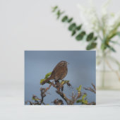 Sparrow Blue Sky Briefkaart (Staand voorkant)