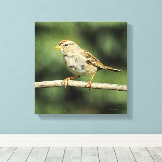 Sparrow Canvas Afdruk (Insitu (Houten vloer))