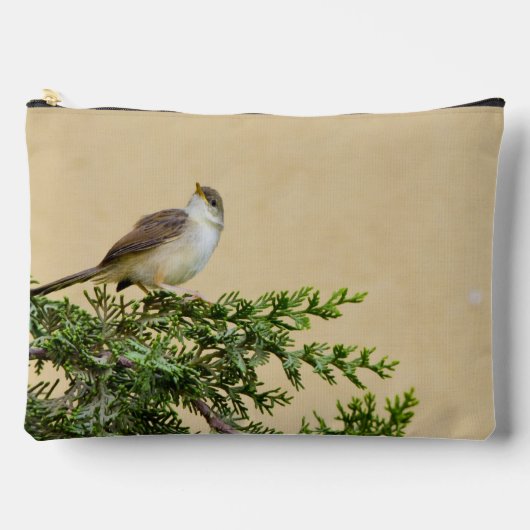 Sparrow Etui (Voorkant)