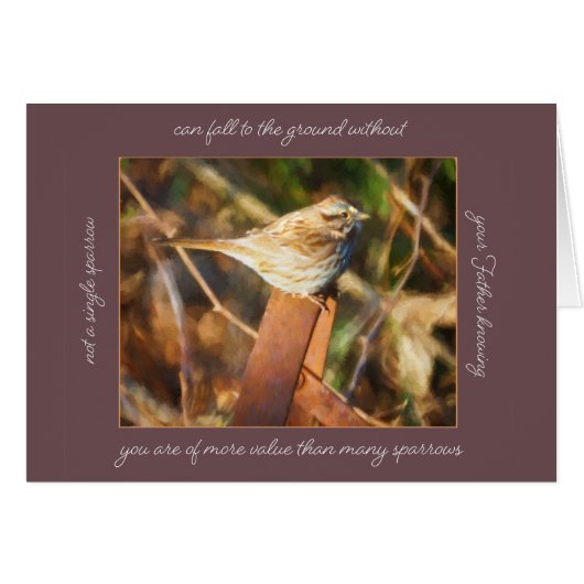 Sparrow falls Carte Parakaleo (Devant Horizontal)