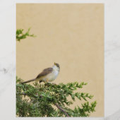 Sparrow Flyer (Voorkant)