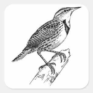 Sparrow-Great Sparrow kleding/Sparrow Sticker