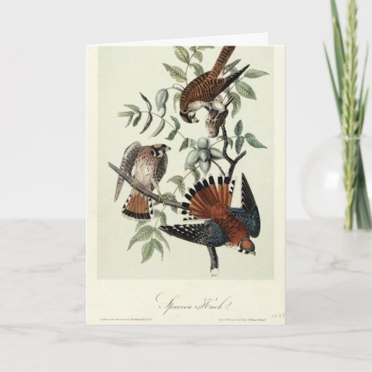 Sparrow hawls feestdagen kaart (Voorkant)