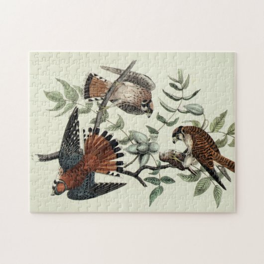 Sparrow hawls legpuzzel (Horizontaal)