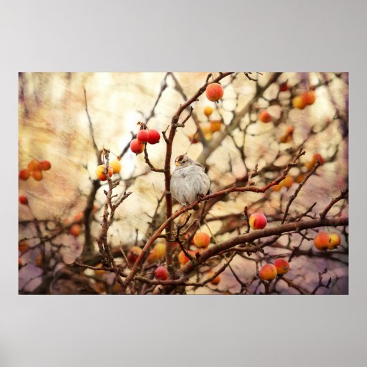 Sparrow in a Crab Apple Tree Poster (Voorkant)