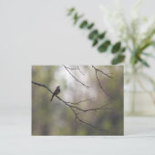 Sparrow in een Forest Scene Briefkaart (Staand voorkant)