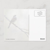 Sparrow in een Forest Scene Briefkaart (Achterkant)